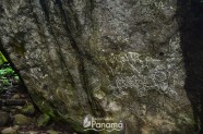 Enigm tica Piedra Pintada En El Valle De Ant n Recorriendo Panam Enigm tica Piedra Pintada En El Valle De Ant n Recorriendo Panam