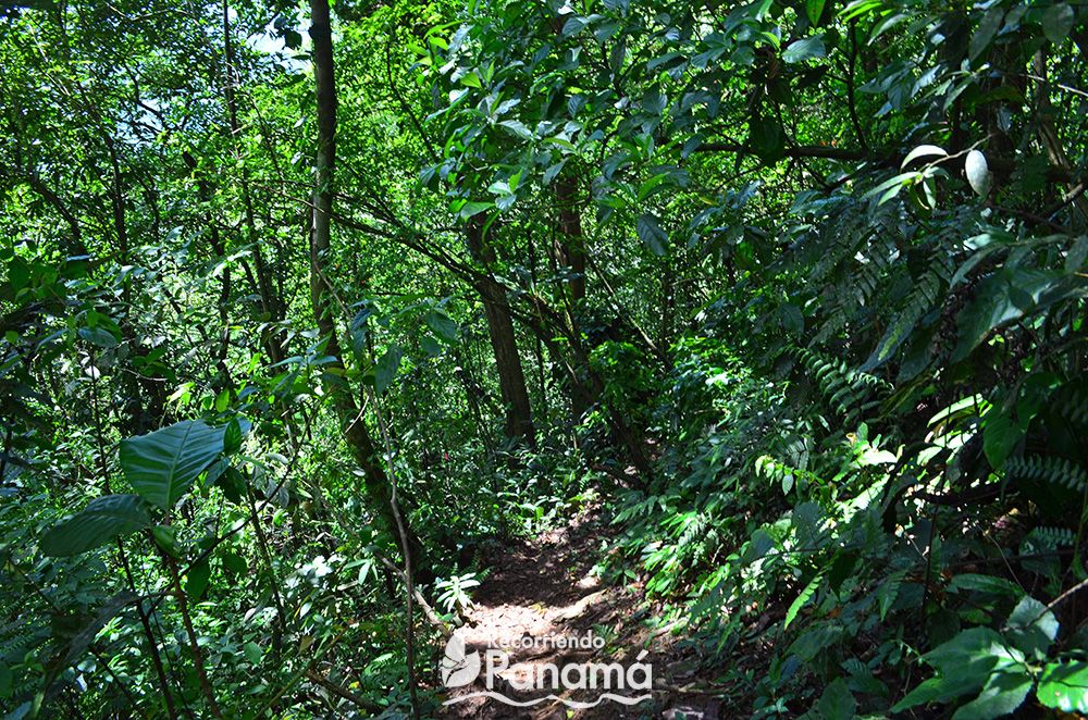 Trinidad Hill trail