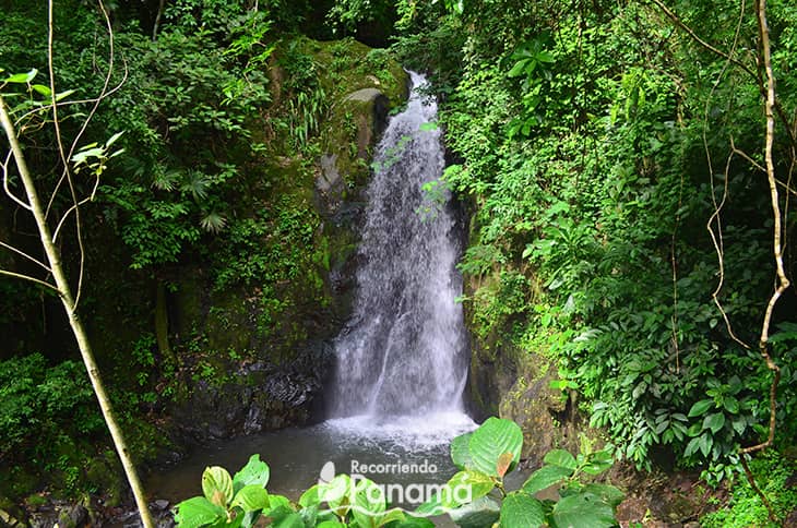 Filipinas Waterfalls